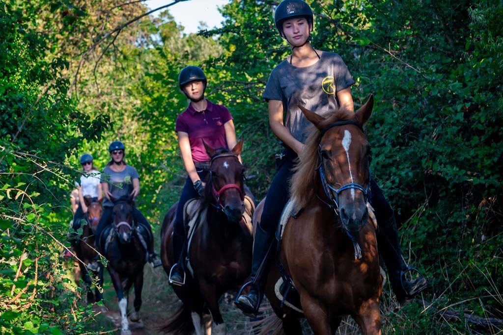 Riding horses through a forest in Ližnjan