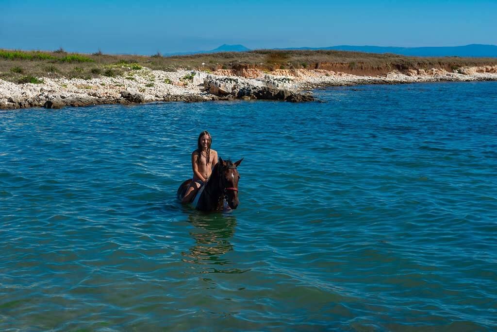 Child on the back of a horse standing in the sea