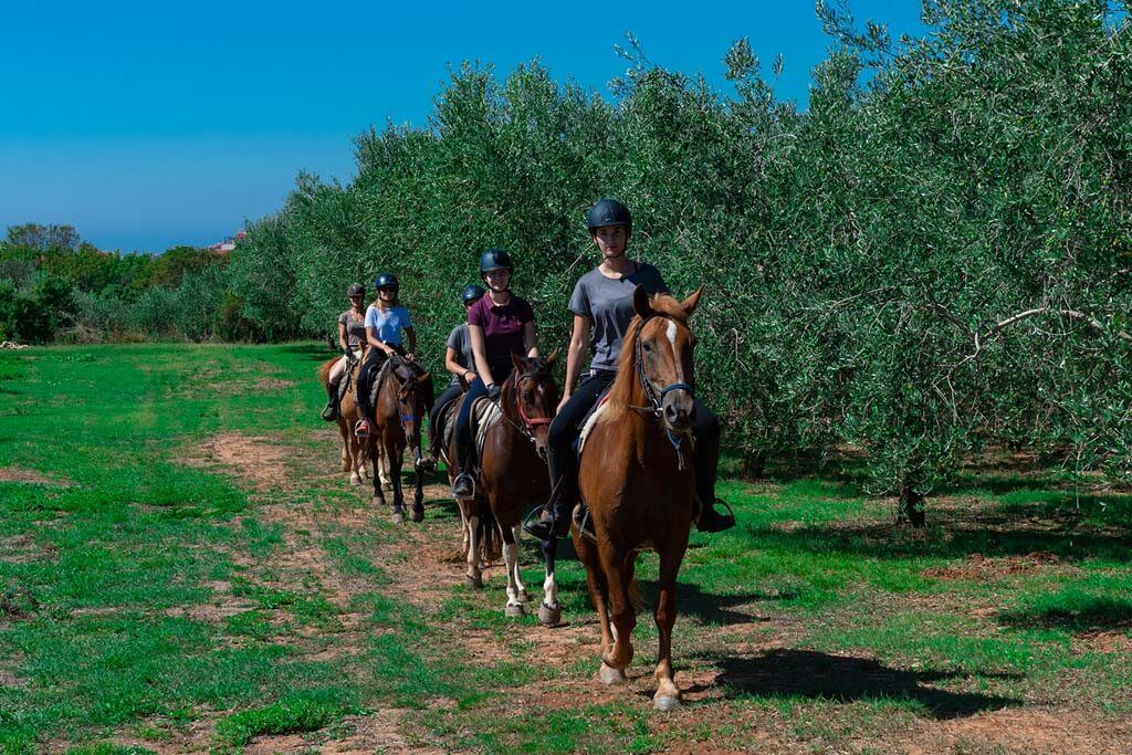 Horse riding tour in nature