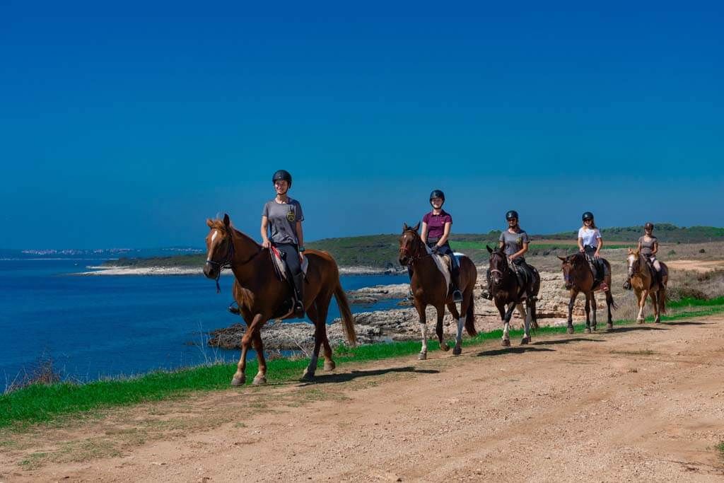 Swimming with horses tour in Ližnjan, Medulin