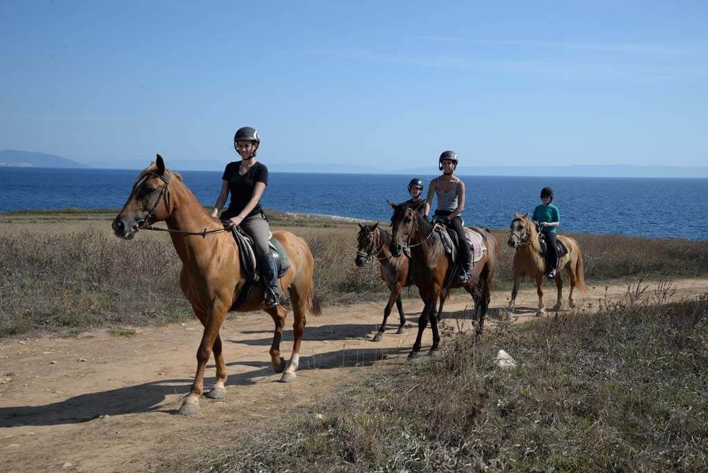 Amazing ocean view in Ližnjan, riding horses