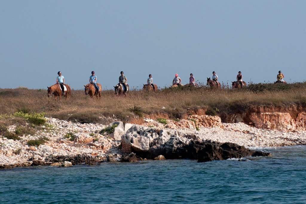 Seaside horse riding tour