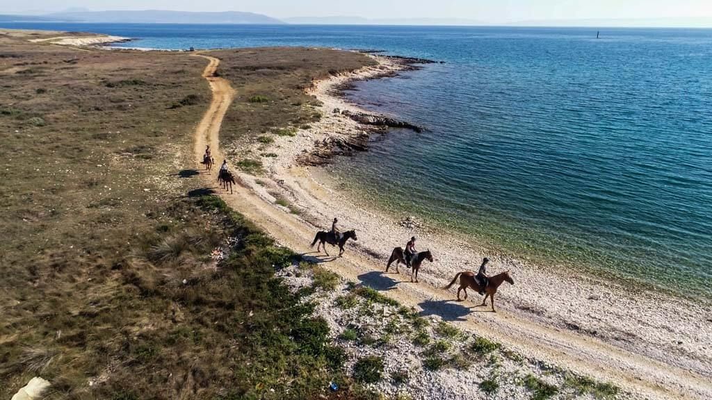 Riding horses on the coast of Adriatic sea, Ližnjan, Medulin