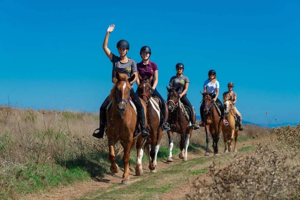 Horse riding leader leading a tour
