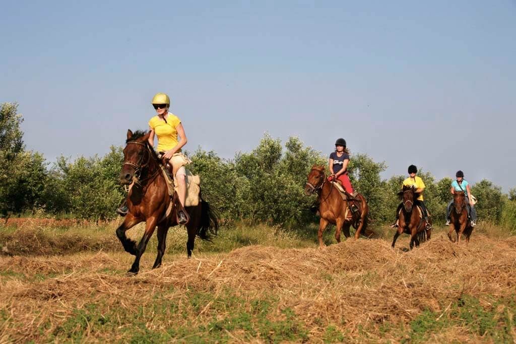 Galloping on a horse riding tour in Ližnjan