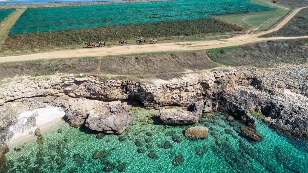 Amazing seaside view on a tour in Ližnjan, Medulin