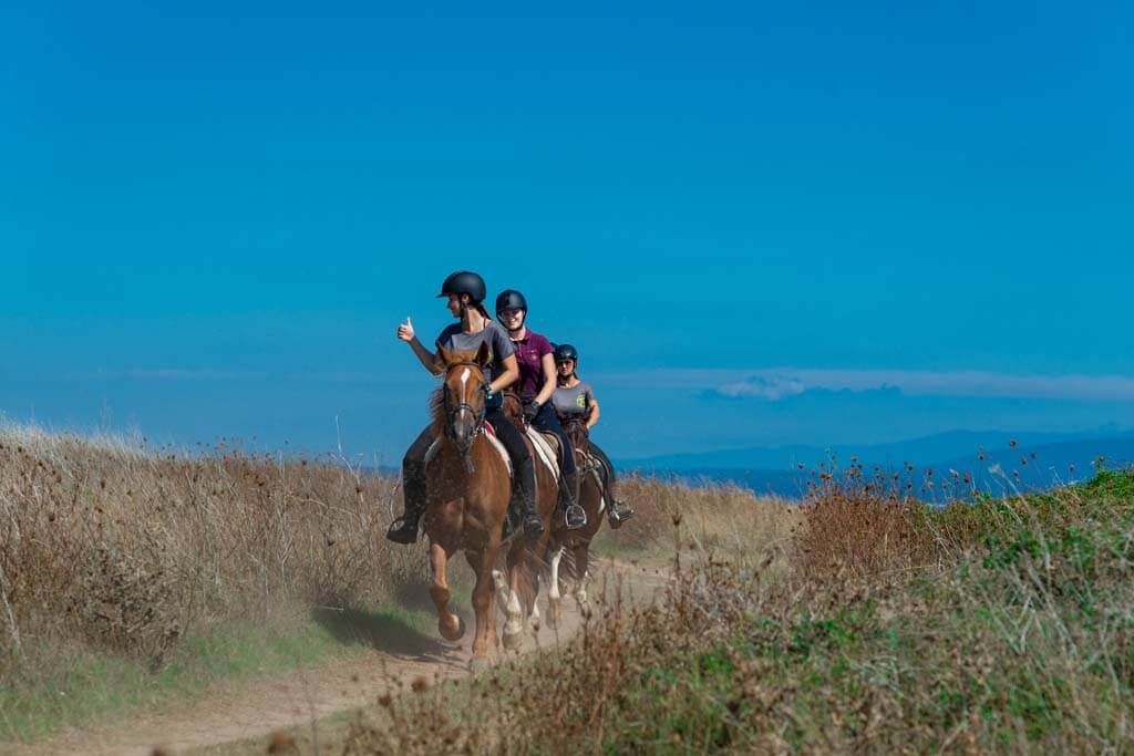 Galloping on a horse riding tour in Ližnjan