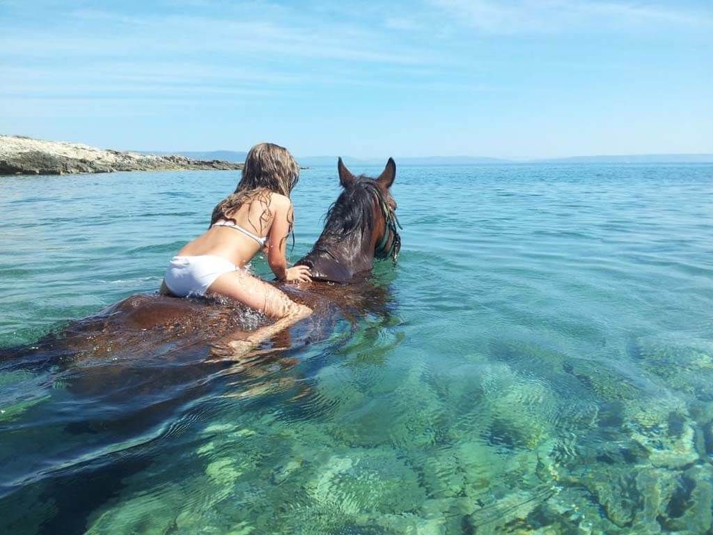 Swimming with horses